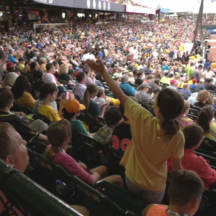 SAVANNAH BANANAS  (5).jpeg